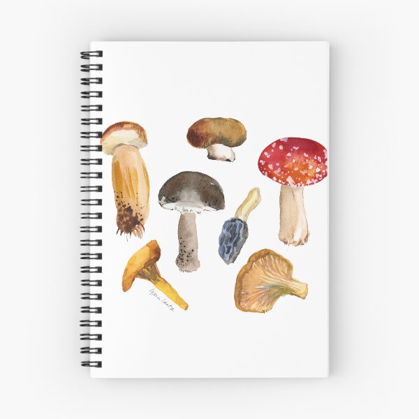 Item preview, Seven Mushrooms designed and sold by littlepostcards.