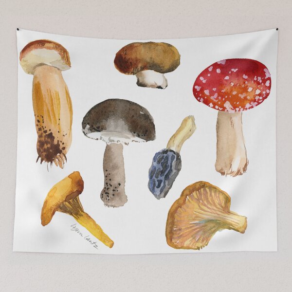 Item preview, Seven Mushrooms designed and sold by littlepostcards.
