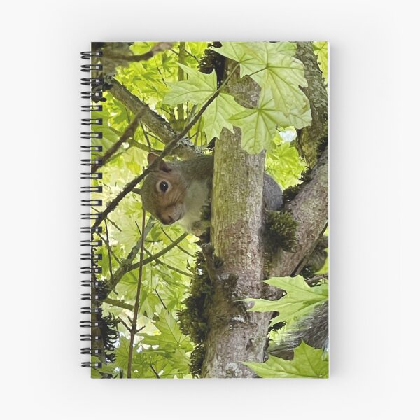 Item preview, Judgmental Squirrel designed and sold by Twinflower Opossum Art.