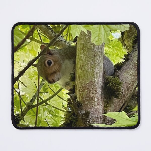 Item preview, Judgmental Squirrel designed and sold by Twinflower Opossum Art.