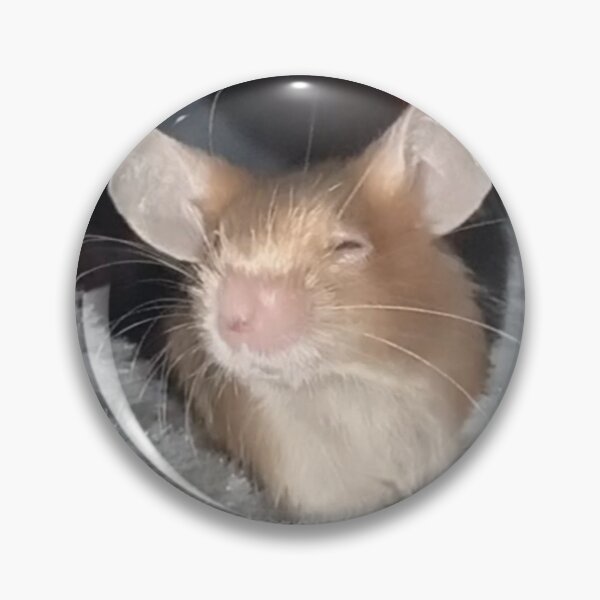 Item preview, Blind mice photography designed and sold by Mouselovers24.