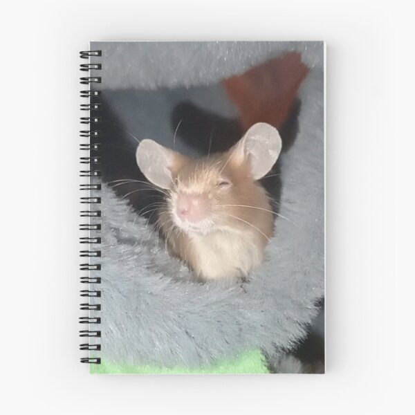 Item preview, Blind mice photography designed and sold by Mouselovers24.