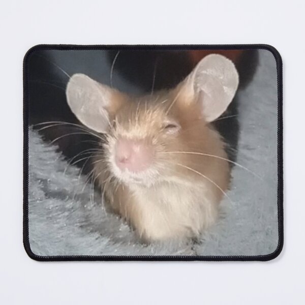 Item preview, Blind mice photography designed and sold by Mouselovers24.