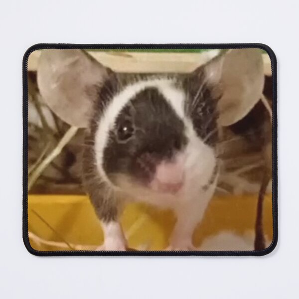 Item preview, Mouse with dumbo ears designed and sold by Mouselovers24.