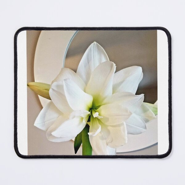 Item preview, Great white flower designed and sold by Soli Deo Gloria.
