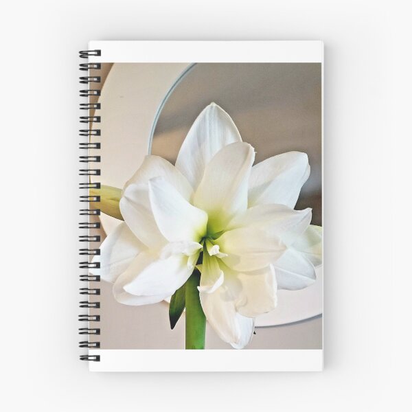 Item preview, Great white flower  designed and sold by Soli Deo Gloria.