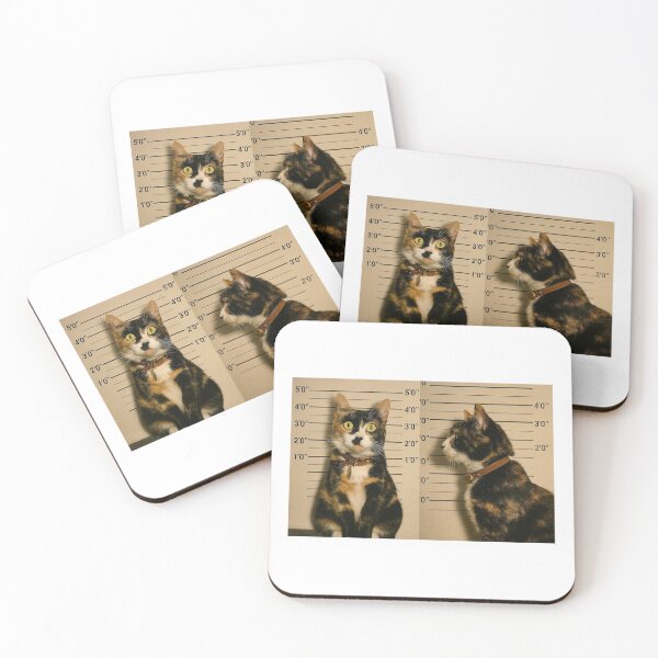 Item preview, Felony kitty  designed and sold by Brattydesigns.
