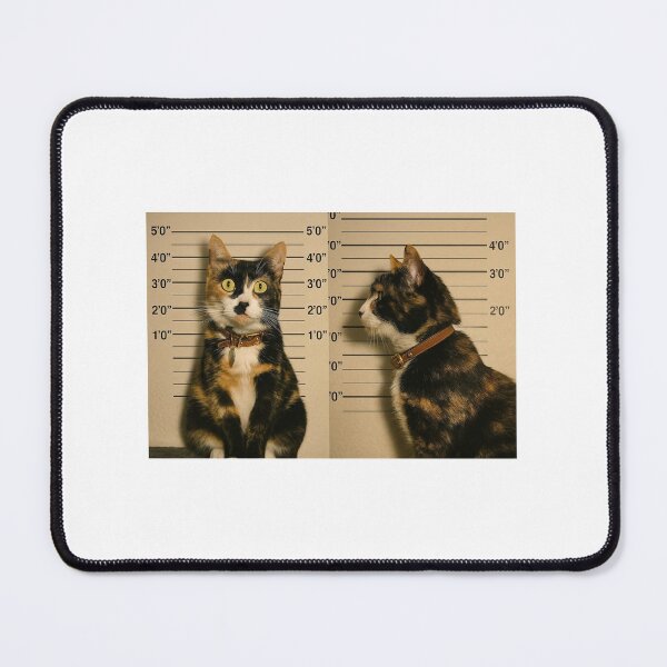 Item preview, Felony kitty  designed and sold by Brattydesigns.