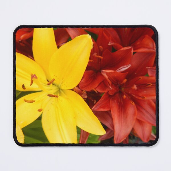 Item preview, "A Gathering of Lilies" - 3 [D4468~49] designed and sold by StudioActivo.