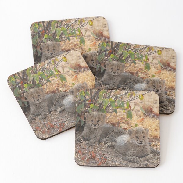 Item preview, Cheetah Cubs at Rest – Tender Moment in the African Bush designed and sold by DavideAntoniani.