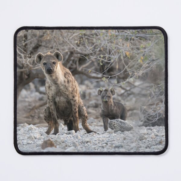 Item preview, Spotted Hyena with Pup – Curious Look (Etosha, Namibia) designed and sold by DavideAntoniani.