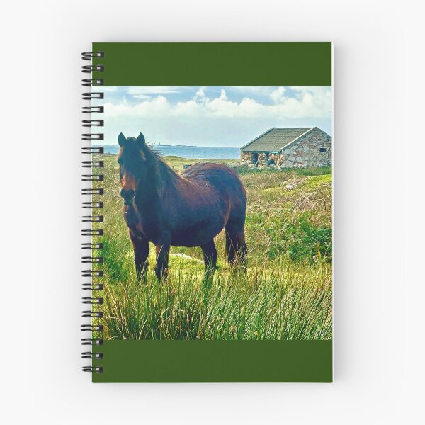 Item preview, Horse by the ocean in Galway County, Ireland designed and sold by 3 Funky Broads.