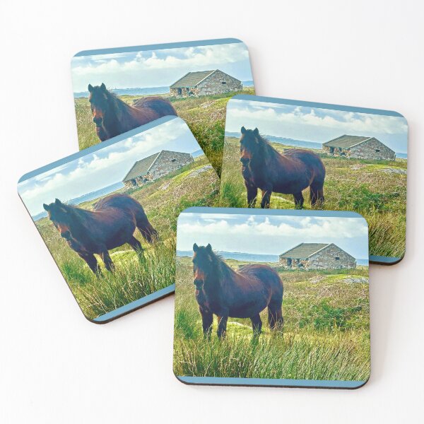 Item preview, Horse by the ocean in Galway County, Ireland designed and sold by 3 Funky Broads.