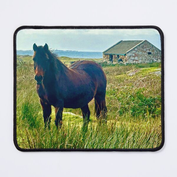 Item preview, Horse by the ocean in Galway County, Ireland designed and sold by 3 Funky Broads.