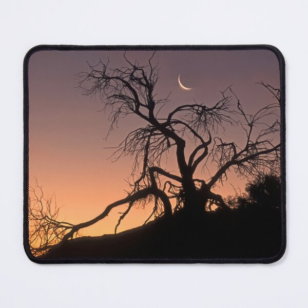 Item preview, 2294 Mungo sunset designed and sold by Hans Kawitzki.