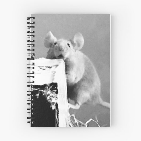 Item preview, Shocked mouse expression funny  designed and sold by Mouselovers24.