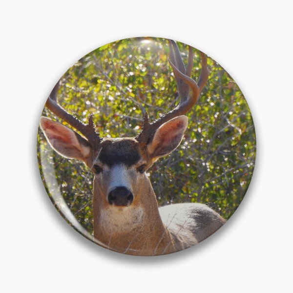 Item preview, A Magnificent Buck designed and sold by Wonders Of Paradise.