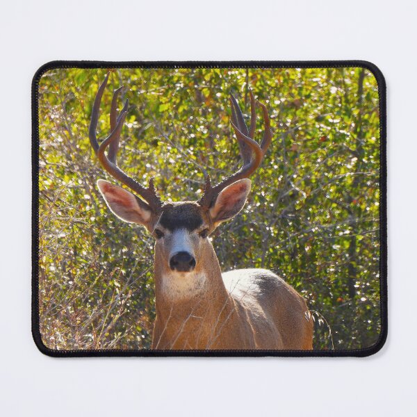 Item preview, A Magnificent Buck designed and sold by Wonders Of Paradise.
