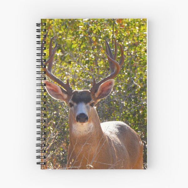 Item preview, A Magnificent Buck designed and sold by Wonders Of Paradise.