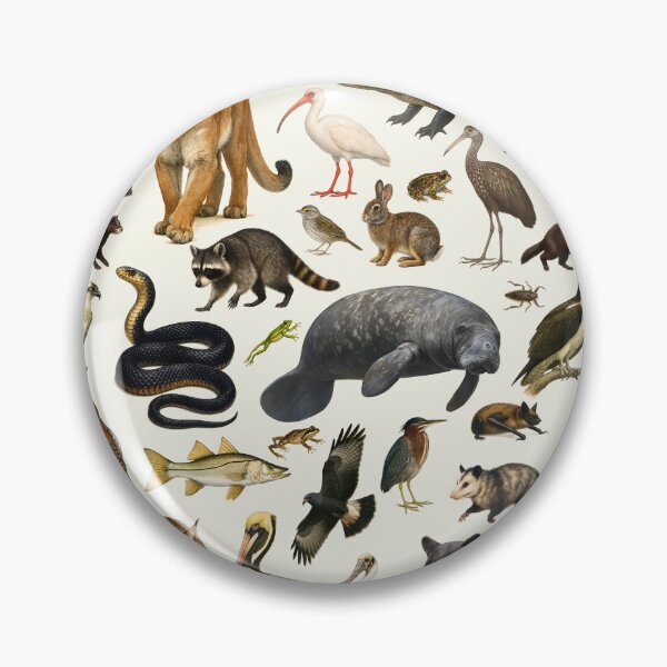 Item preview, Animals of the Florida Everglades Retro Wildlife Illustration designed and sold by kakarikihill.