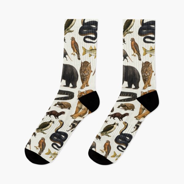 Item preview, Animals of the Florida Everglades Retro Wildlife Illustration designed and sold by kakarikihill.