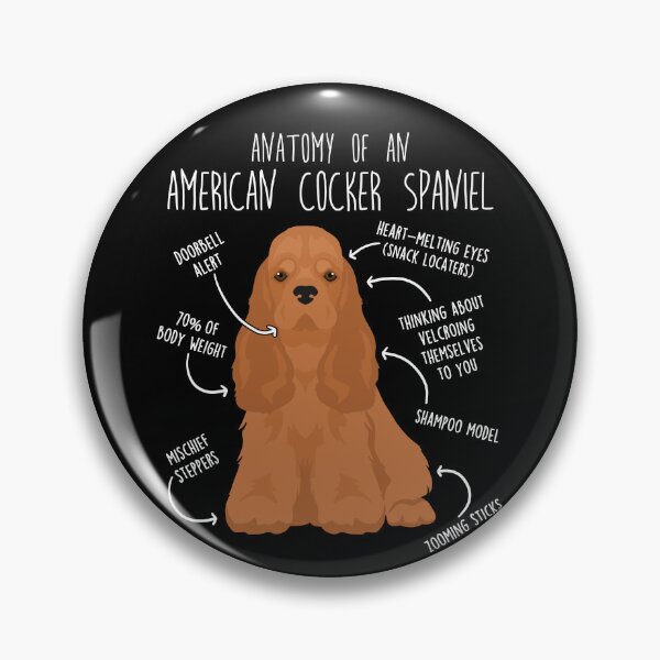 Item preview, Red American Cocker Spaniel Dog Anatomy designed and sold by Clara Hollins.