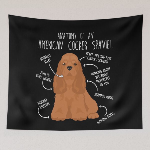 Item preview, Red American Cocker Spaniel Dog Anatomy designed and sold by Clara Hollins.