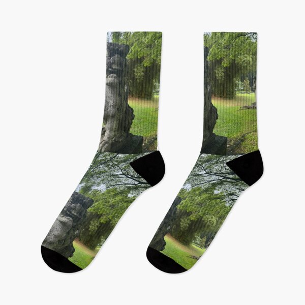 Item preview, Stone Guardian Lion Under the Trees designed and sold by TrisaThyme.