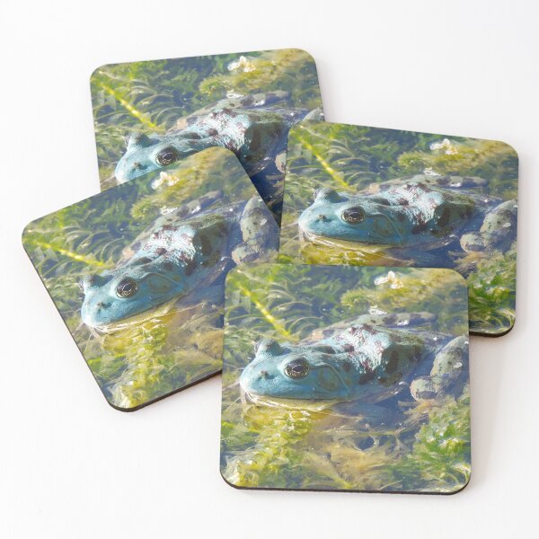 Item preview, Very Rare Blue Bullfrog in the California Sierra-Nevada designed and sold by Wonders Of Paradise.