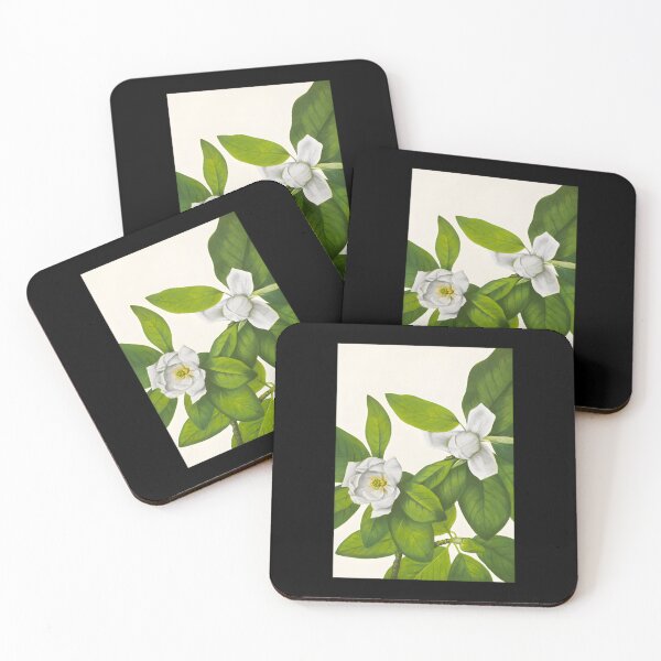 Item preview, Sweetbay Magnolia - Botanical Illustration Classic 		 designed and sold by gooongxqn14.