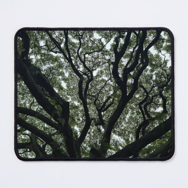 Item preview, Ancient Tree Canopy designed and sold by TrisaThyme.