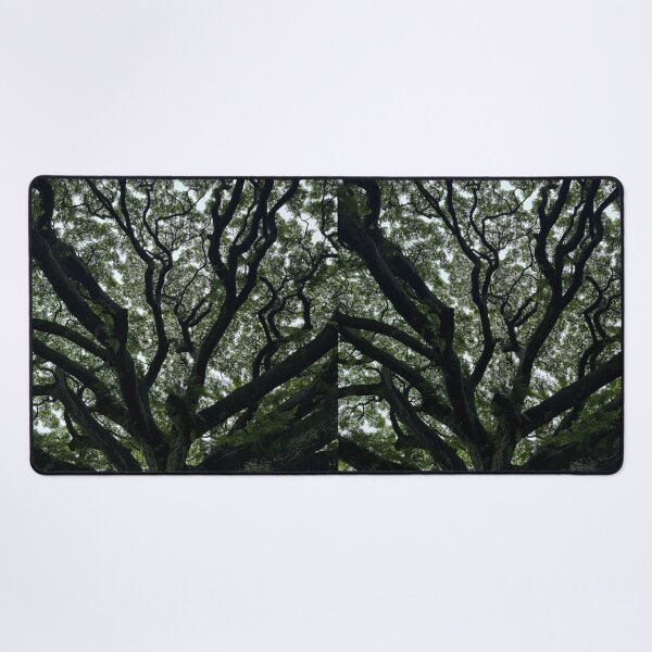 Item preview, Ancient Tree Canopy designed and sold by TrisaThyme.