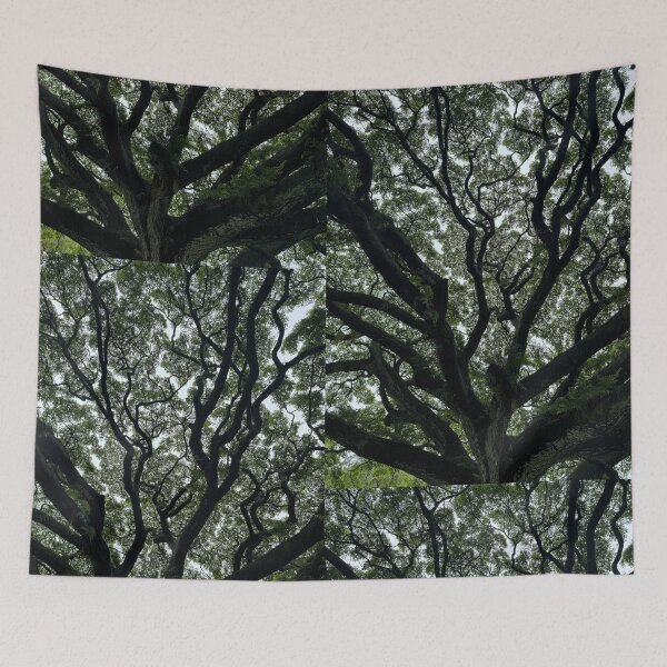 Item preview, Ancient Tree Canopy designed and sold by TrisaThyme.