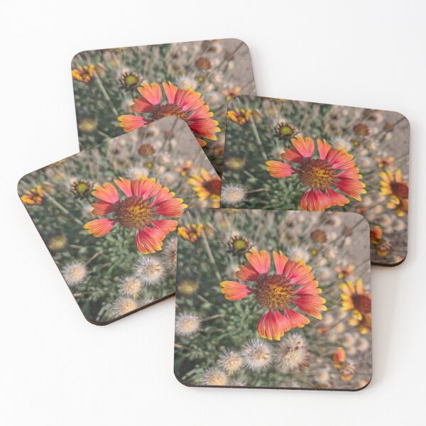 Item preview, A Few Petals Missing designed and sold by Betsy Phillips.