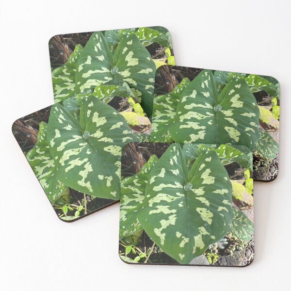 Item preview, Taro Leaf in Sunlight designed and sold by TrisaThyme.