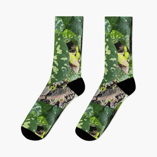 Item preview, Taro Leaf in Sunlight designed and sold by TrisaThyme.