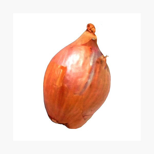 Item preview, Shallot designed and sold by Gotoo.