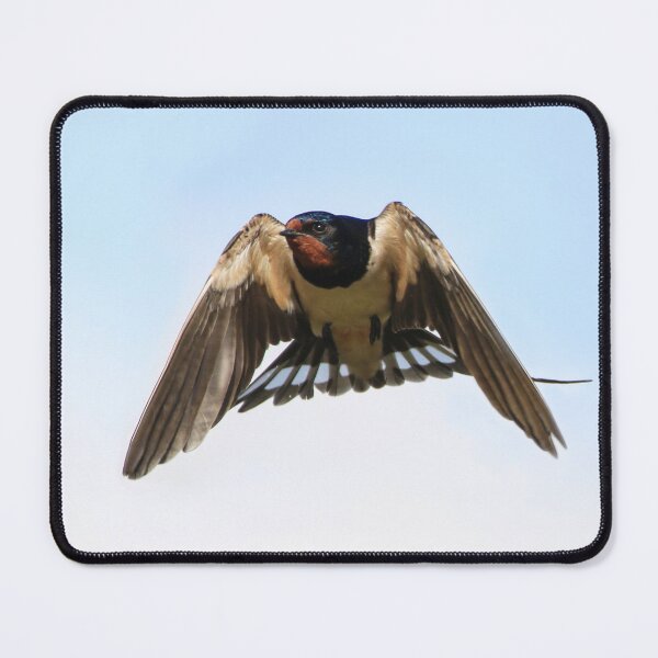 Item preview, Hirundo rustica designed and sold by LaGalleria-BNS by Moses Benson Gallery.