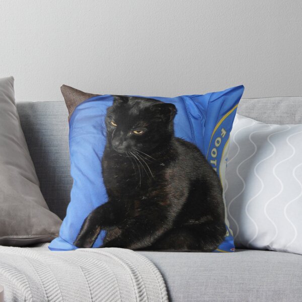 Artikelvorschau, Puss-On-Blau entworfen und verkauft von SunriseRose.