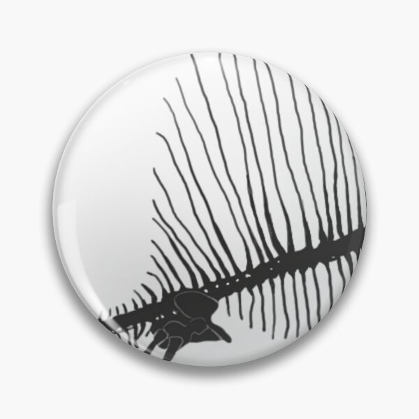 Item preview, Dimetrodon Skeleton 	 	 designed and sold by vtnkandqtrk56.