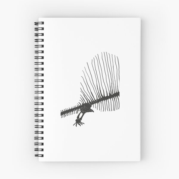 Item preview, Dimetrodon Skeleton 	 	 designed and sold by vtnkandqtrk56.