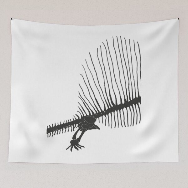 Item preview, Dimetrodon Skeleton 	 	 designed and sold by vtnkandqtrk56.