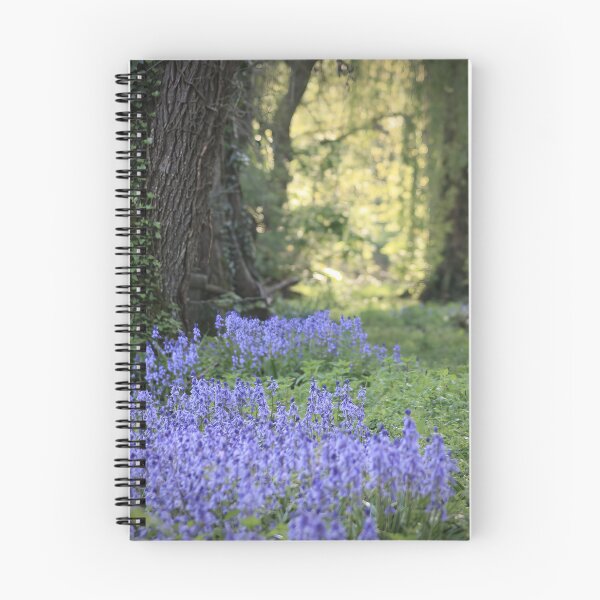 Item preview, bluebells in a clearing designed and sold by ANAEZ.