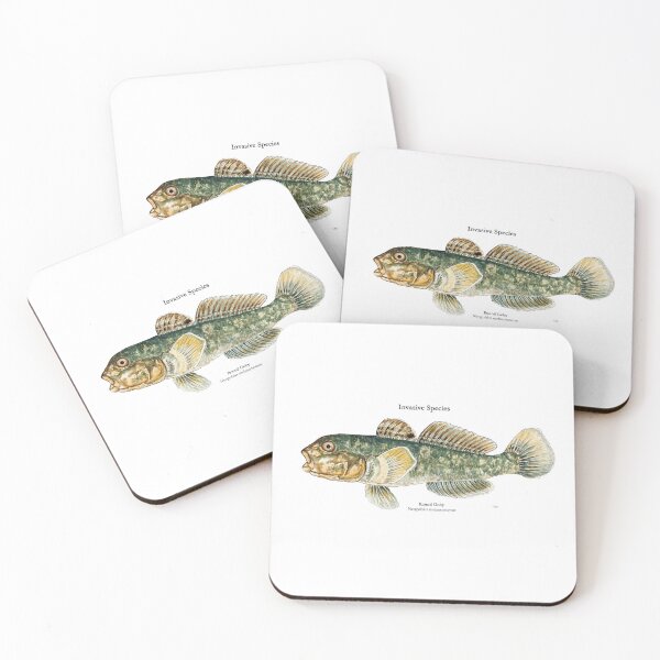 Item preview, Round Goby Painting designed and sold by Stephen Emms.