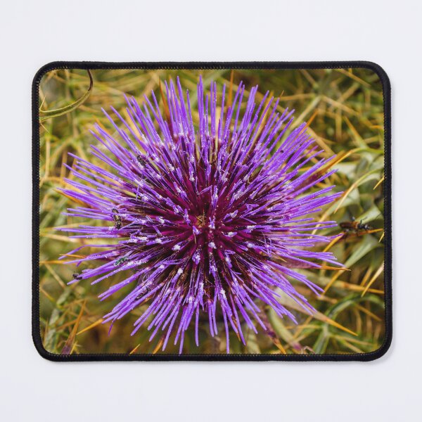 Item preview, Wild Artichoke designed and sold by Nmallia.