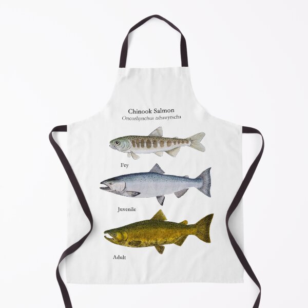 Item preview, Chinnok Salmon Life Stages Paintings  designed and sold by Stephen Emms.