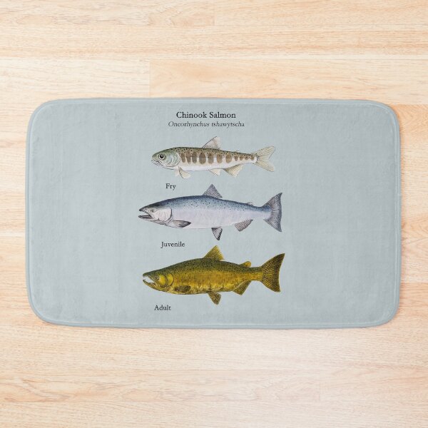 Item preview, Chinnok Salmon Life Stages Paintings  designed and sold by Stephen Emms.