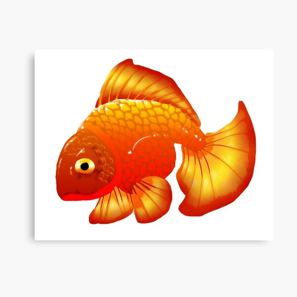 Simple Gold Fish Canvas Print