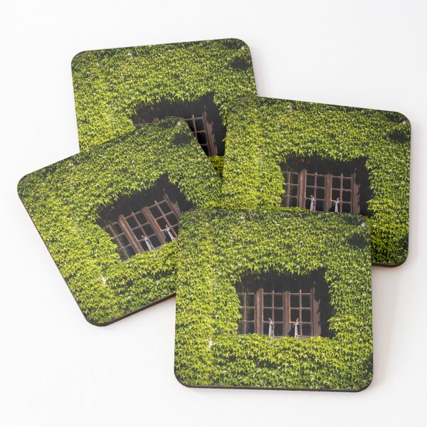 Item preview, Windows designed and sold by mortal perspective .