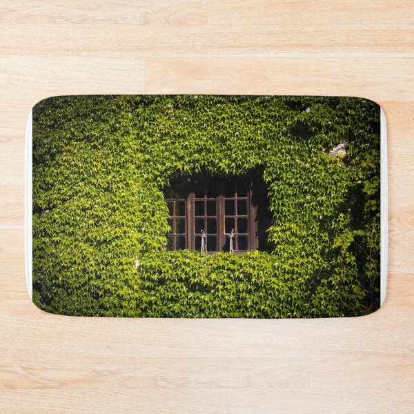 Item preview, Windows designed and sold by mortal perspective .